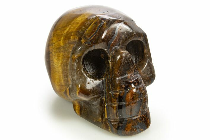Polished Tiger's Eye Skull - South Africa #320163